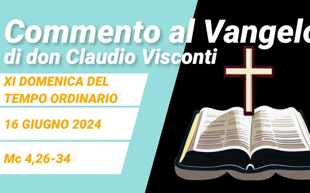 Commento al Vangelo di domenica 16 giugno 2024