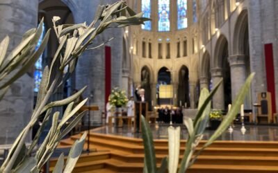 Domenica delle Palme in Cathédrale des Saints Michel et Gudule